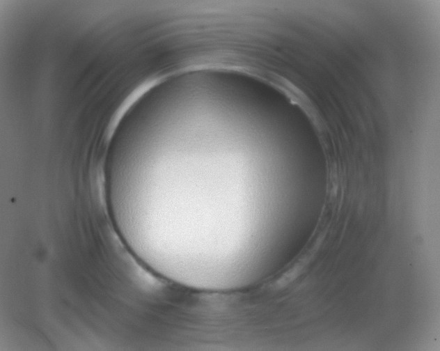 X0000082140812200702021607