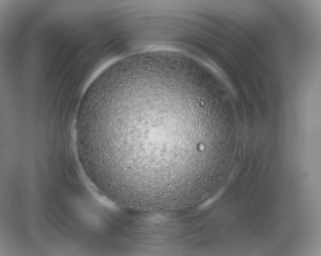 X0000082140814200702021607