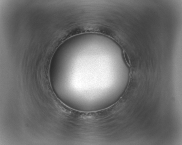 X0000082140817200702021607