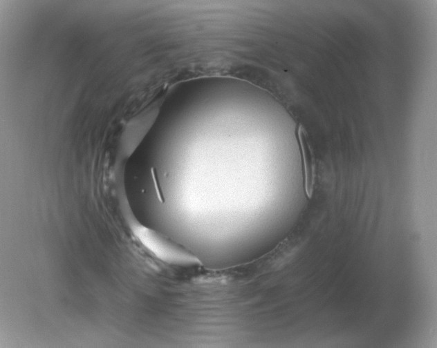 X0000082140818200702021607