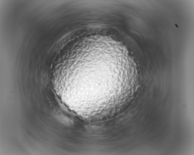 X0000082140821200702021607