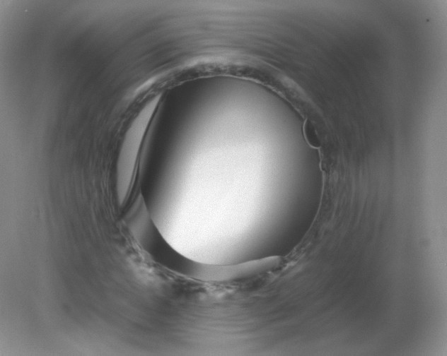X0000082140822200702021607