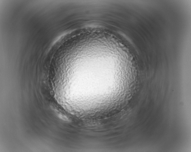 X0000082140823200702021607