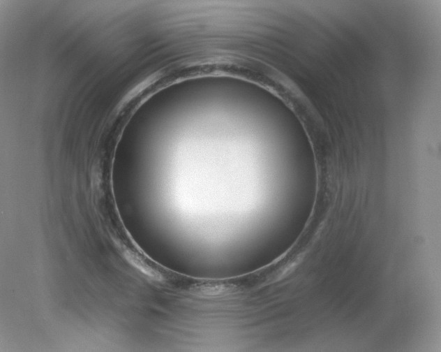 X0000082140826200702021607