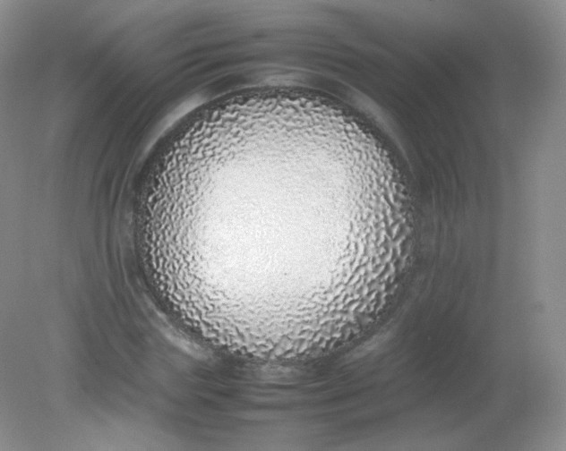 X0000082140827200702021607