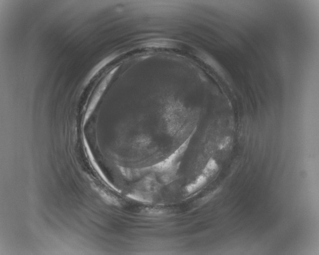 X0000082140829200702021607