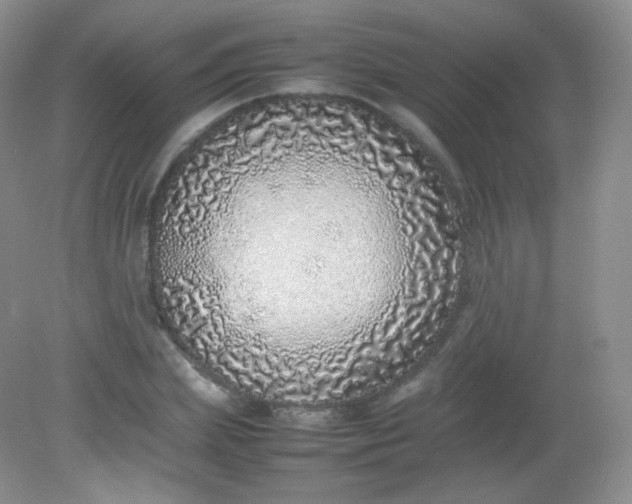 X0000082140831200702021607