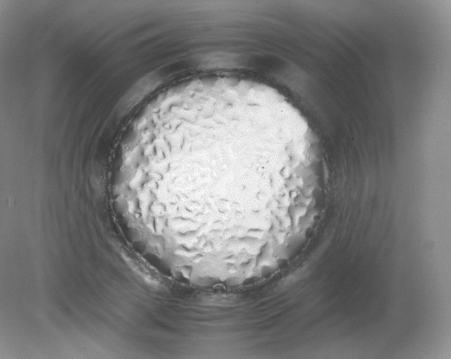 X0000082140833200702021607