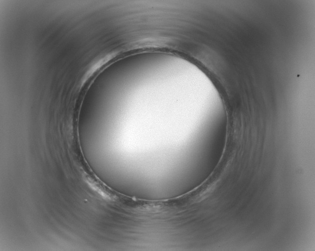 X0000082140834200702021607
