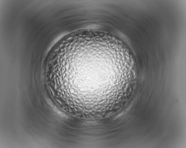 X0000082140835200702021607