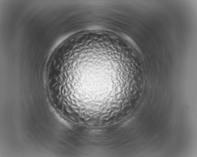 X0000082140839200702021607