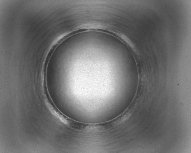 X0000082140840200702021607