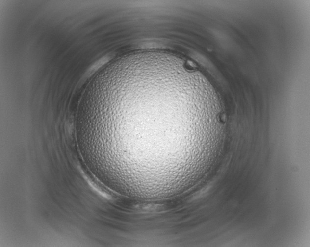 X0000082140841200702021607