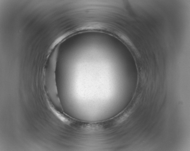 X0000082140842200702021607