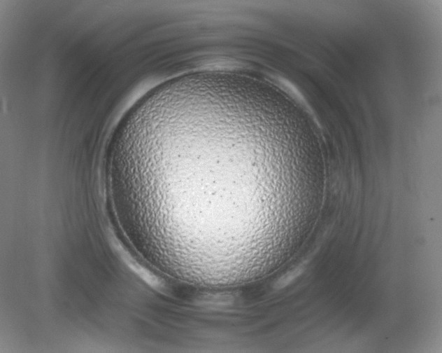 X0000082140843200702021607
