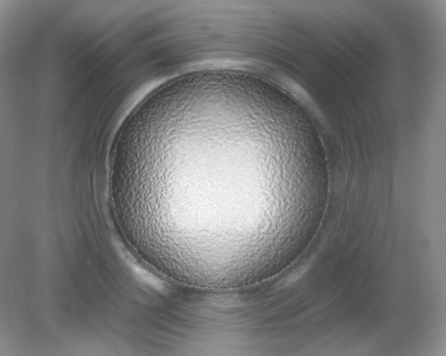 X0000082140844200702021607