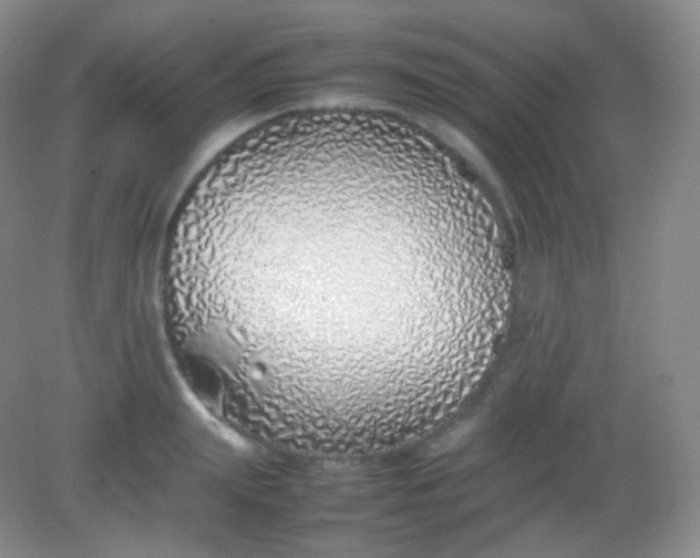 X0000082140847200702021607