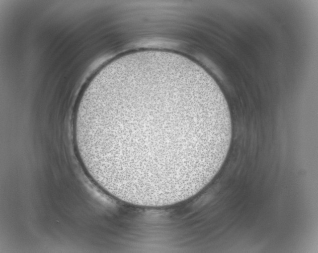 X0000082140848200702021607