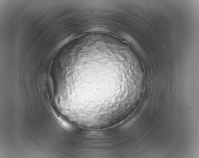 X0000082140849200702021607