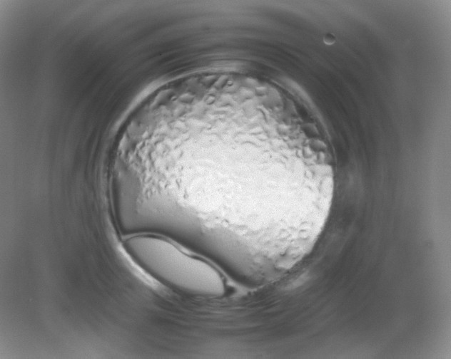 X0000082140851200702021607