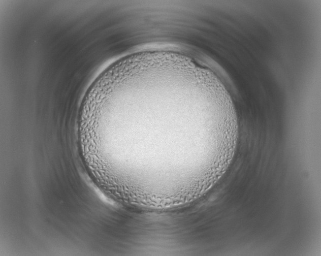 X0000082140852200702021607