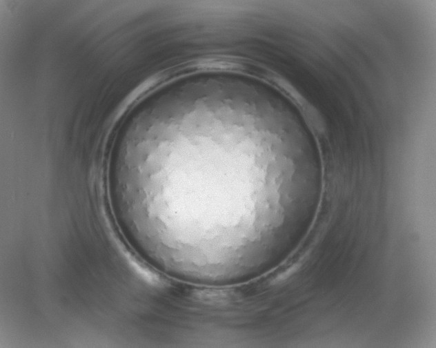 X0000082140853200702021607