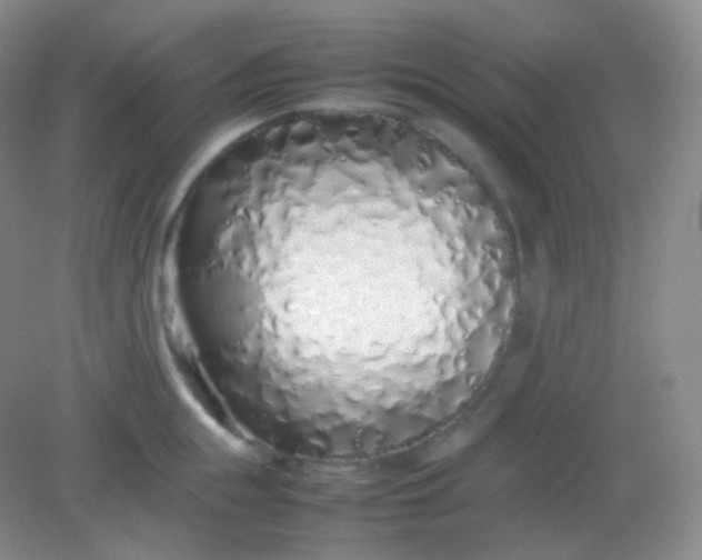 X0000082140855200702021607