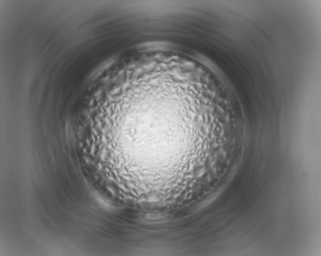 X0000082140857200702021607