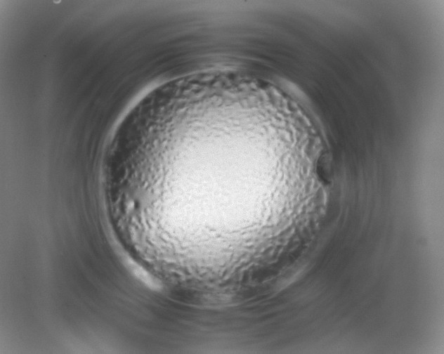 X0000082140859200702021607