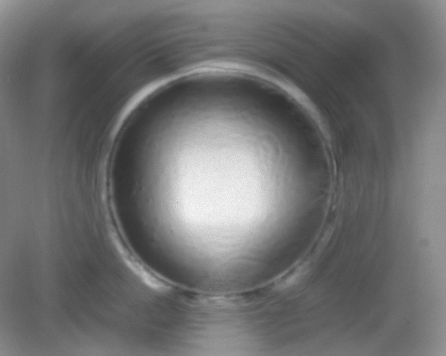X0000082140862200702021607