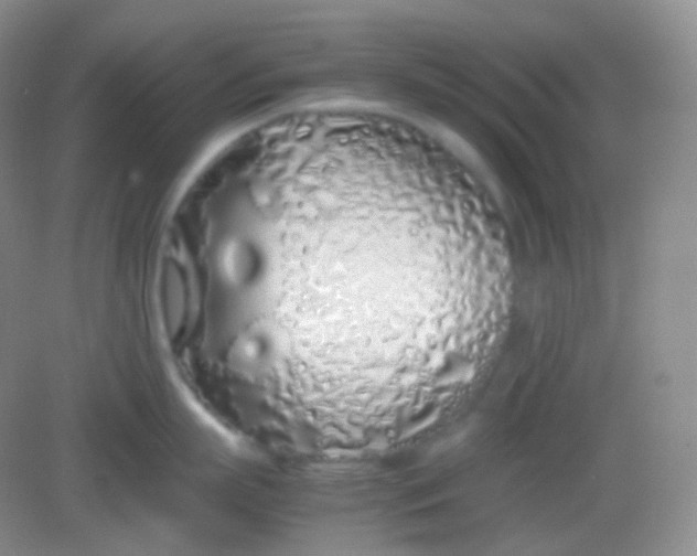 X0000082140863200702021607