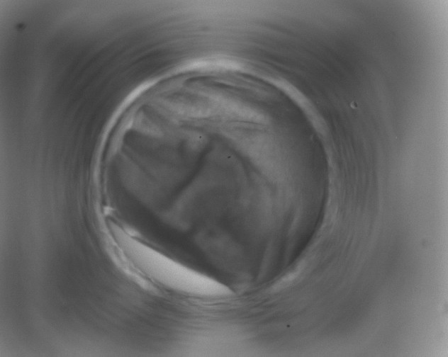 X0000082140864200702021607