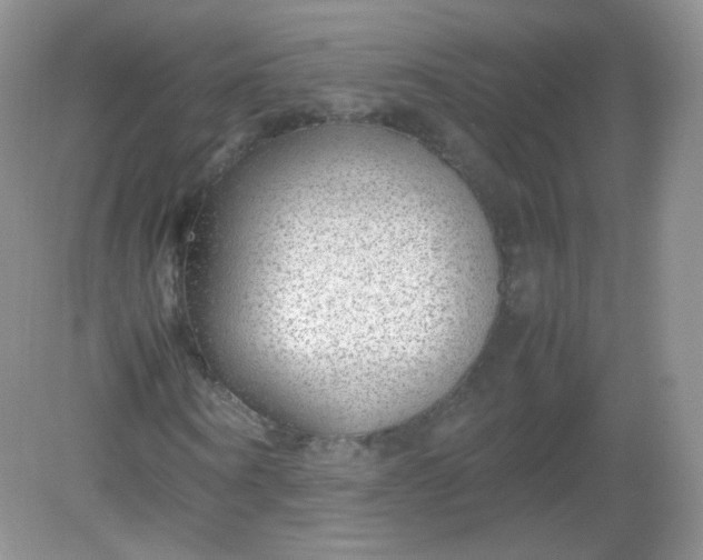 X0000082140866200702021607