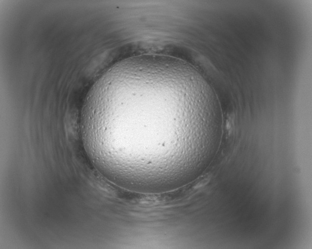 X0000082140867200702021607