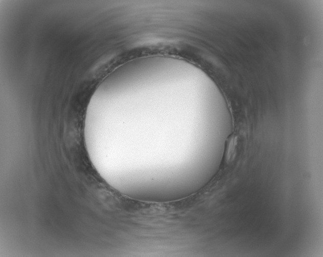 X0000082140869200702021606