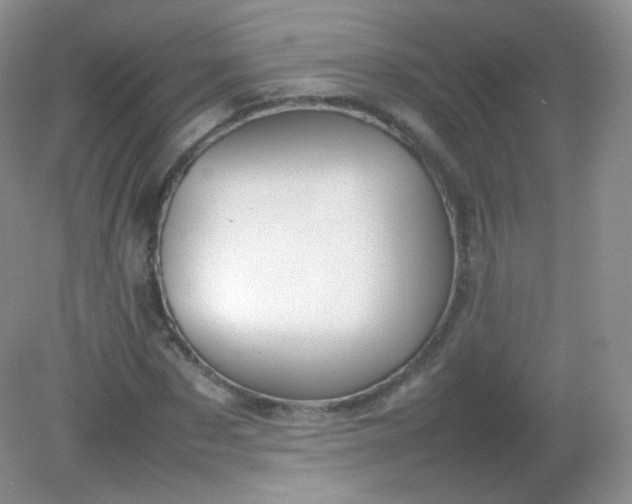 X0000082140873200702021606