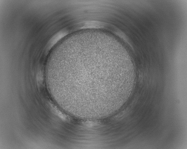 X0000082140874200702021606