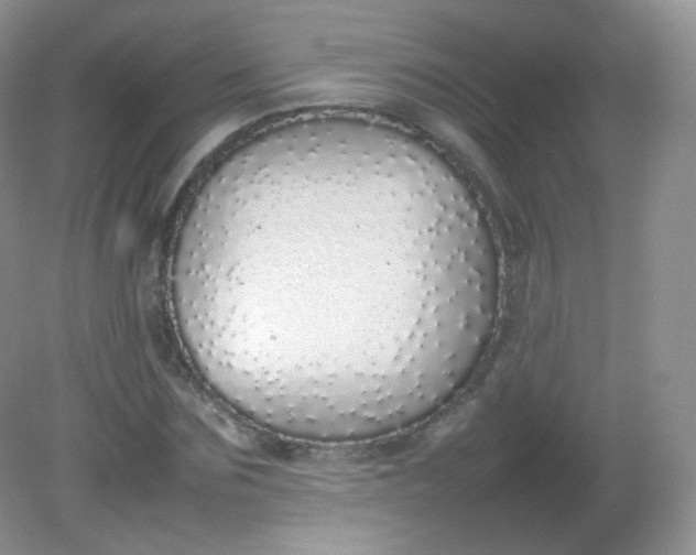 X0000082140875200702021606