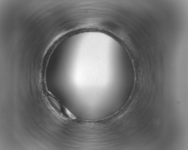 X0000082140880200702021606