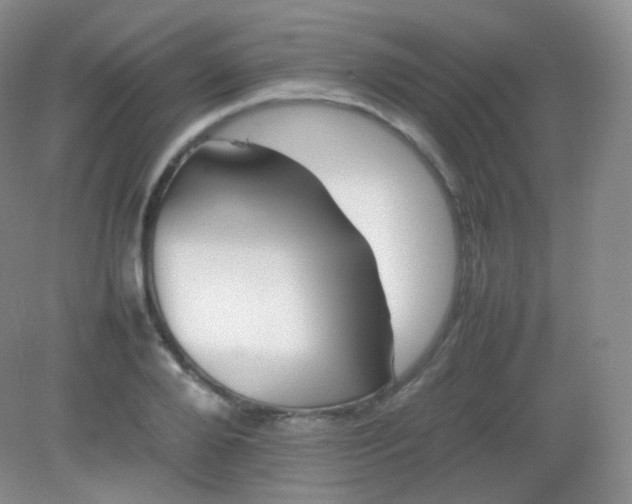 X0000082140888200702021606