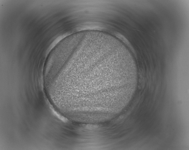 X0000082140890200702021606