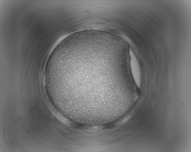 X0000082140891200702021606