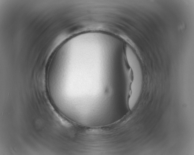 X0000082140894200702021606
