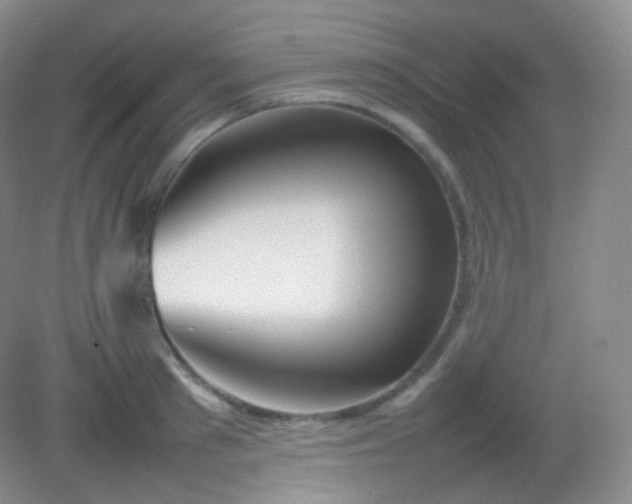 X0000082140897200702021606