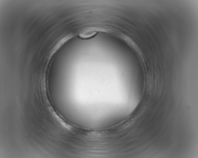 X0000082140898200702021606