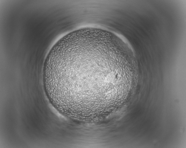 X0000082140903200702021606