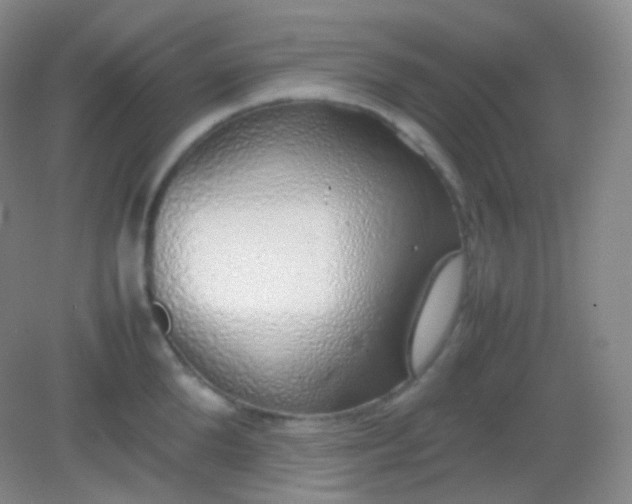 X0000082140904200702021606