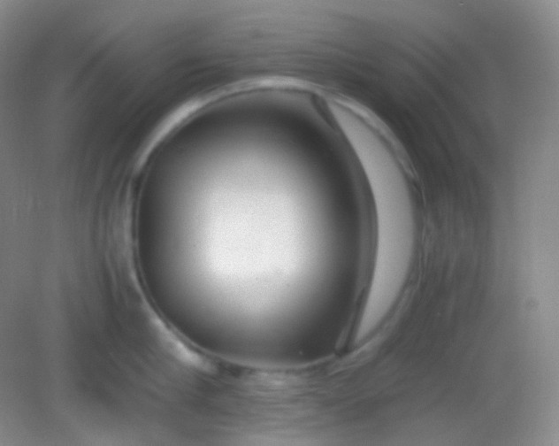 X0000082140910200702021606