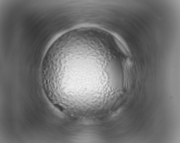 X0000082140911200702021606