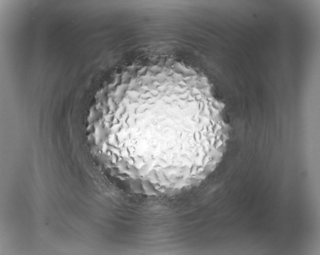 X0000082140913200702021605
